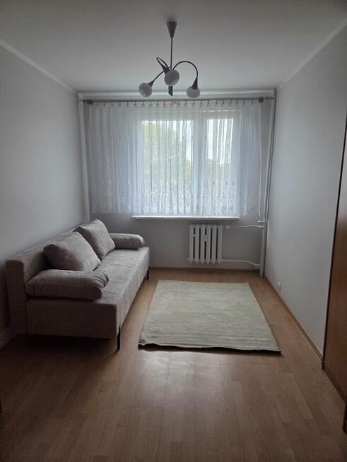 Mieszkanie do wynajęcia