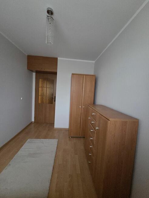 Mieszkanie do wynajęcia