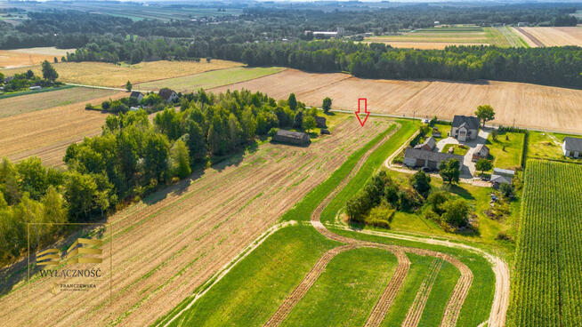 Działka siedliskowa Kolonia Kiełczewice Dolne gm. Strzyżewice,