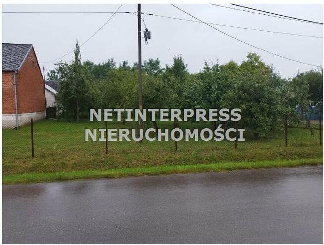 Działka rolna Tarłów Brzozowa