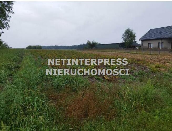 Działka rolna Tarłów Brzozowa