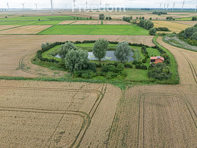 Działka 1ha z prywatnym stawem z dala od zgiełku