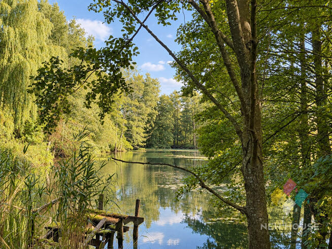 Zalbki- Dom 265 m2, garaż, piwnica, staw, duża działka