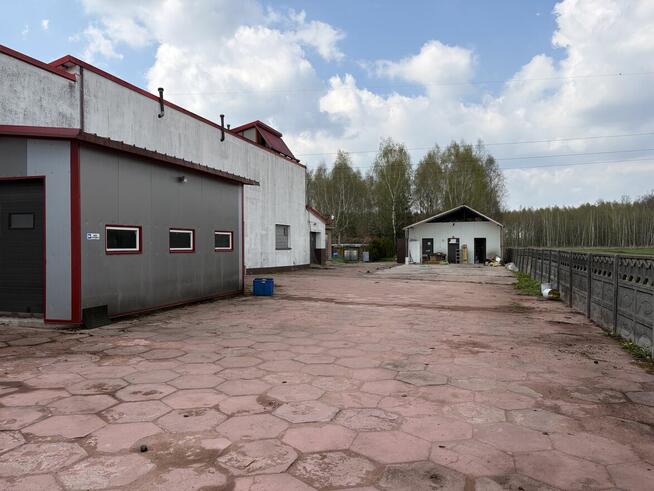 Syndyk sprzeda dom i budynek magazynowo-produkcyjny