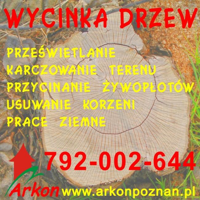 Wycinka drzew karcz.Wyburzenia rozbiórki Poznań 792-002-644