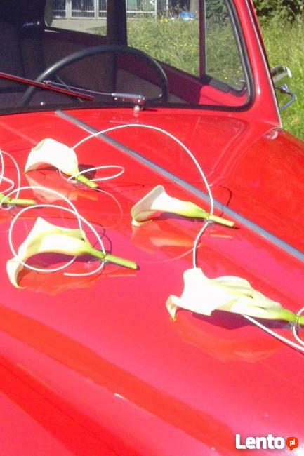 Florystyka ślubna, dekoracja samochodów-Wałbrzych i okolice