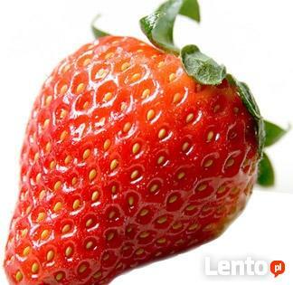 Dietetyk kliniczny - PORADNIA DIETETYCZNA Szamotuły