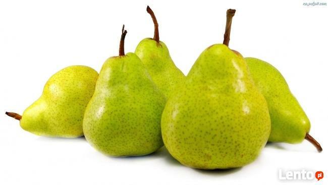 Dietetyk kliniczny - PORADNIA DIETETYCZNA Szamotuły