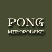 Profesjonalna Opieka Nad Grobem Małopolska-sprzątanie