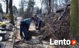 Wycinanie ścinanie obcinanie drzew Ostrów Kalisz Plesze