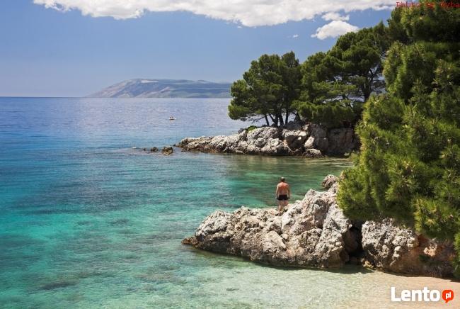 Chorwacja > Riwiera Makarska > Podgora – Apartament