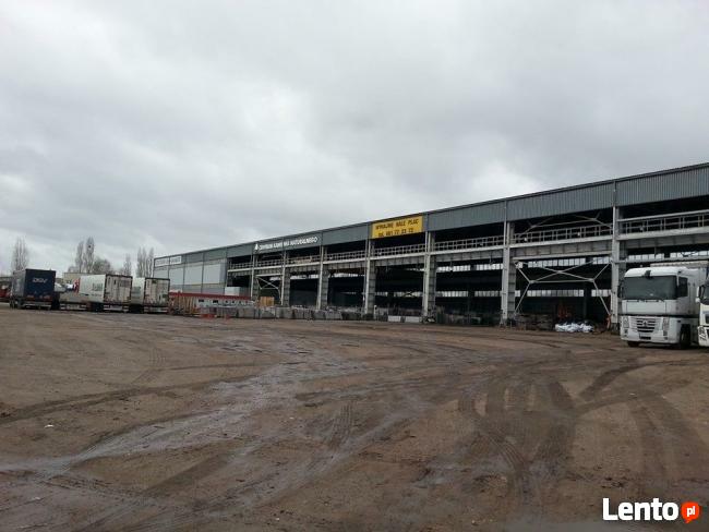 Hala do wynajęcia Szczecin ul. Struga