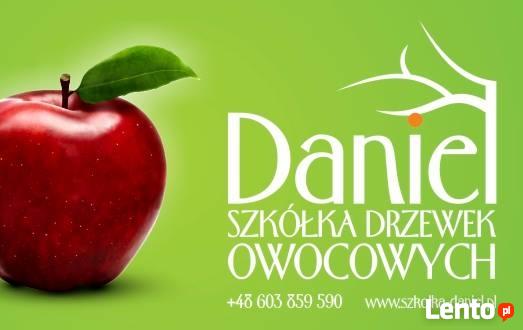 Drzewka Owocowe - Szkółka DANIEL