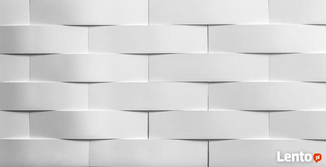 Panele 3D -Fala Sejsza, Panele ścienne, Panele gipsowe