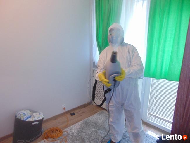 Usuwanie Zwalczanie Pluskiew Zamgławiaczem UVL Wymrazanie