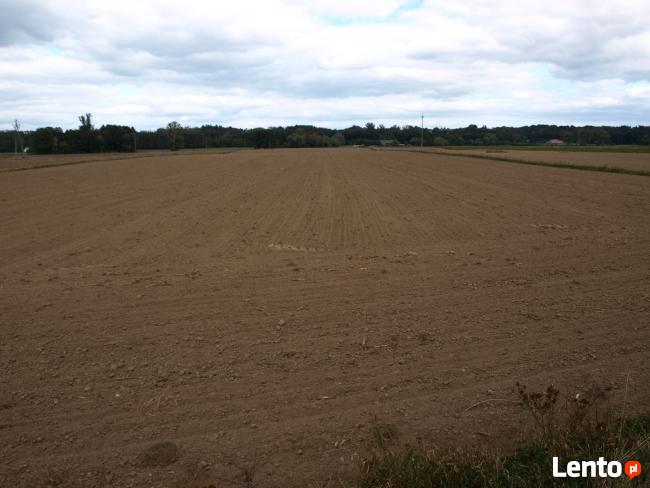 Sprzedam ziemię rolną Drwały koło Wyszogrodu