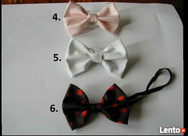 Eleganckie Muszki Muchy Męskie Dużo Kolorów