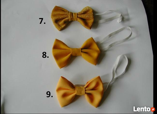 Eleganckie Muszki Muchy Męskie Dużo Kolorów