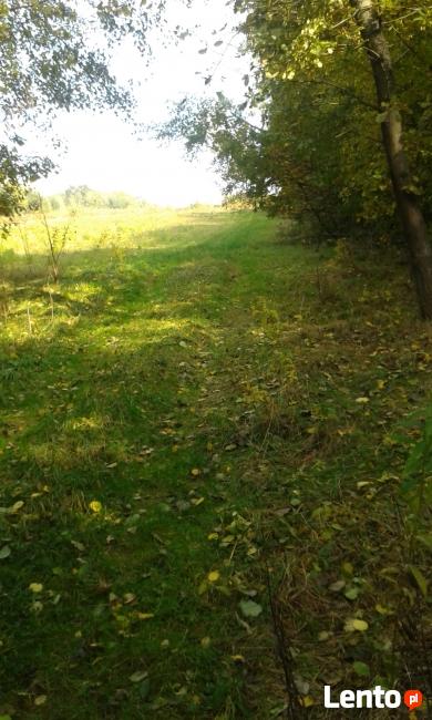 Działka zalesiona w Zagórzanach koło