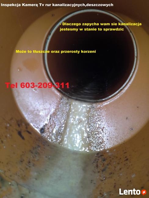 Pogotowie Kanalizacyjne 24h wrzesnia 603-209-311