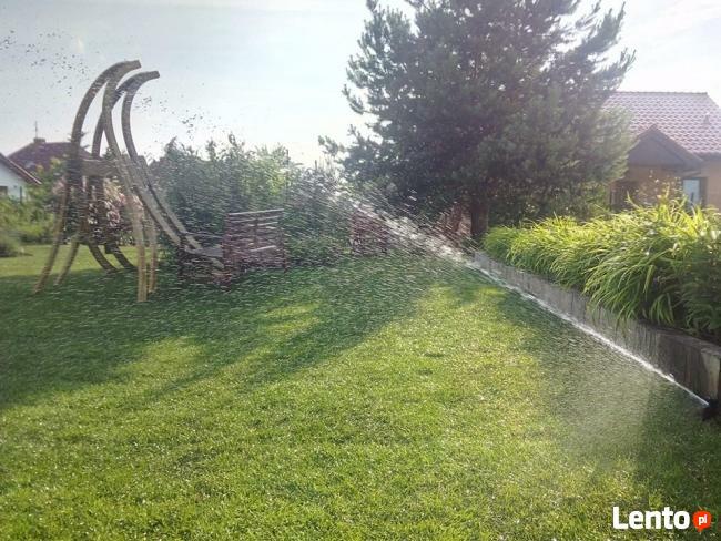 Green White Polska Usługi ogrodnicze, 10 lat na rynku