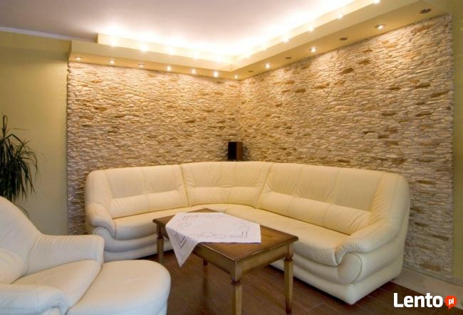 Kamień Elewacyjny, Wewnętrzny, Panel 3D - od Producenta