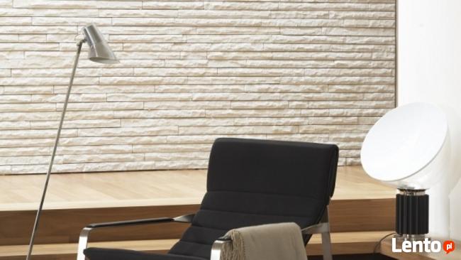 Kamień Elewacyjny, Wewnętrzny, Panel 3D - od Producenta
