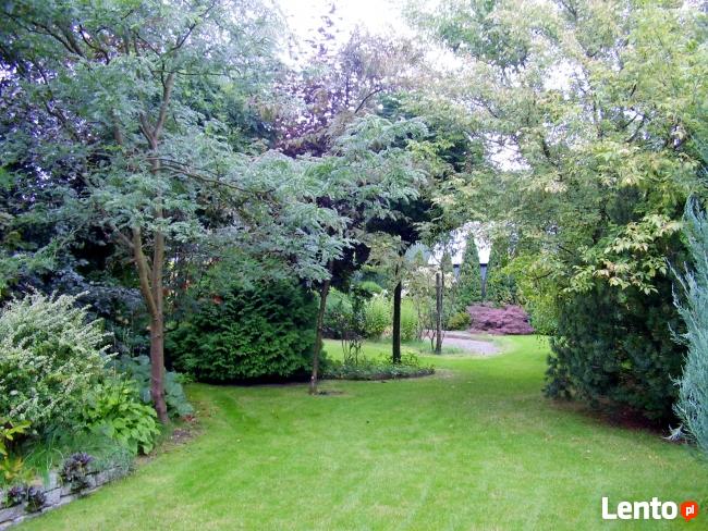 OGRODY KIELCE. PROJEKTOWANIE I ZAKŁADANIE OGRODÓW,