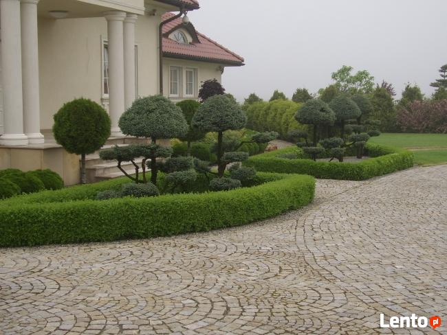 OGRODY KIELCE. PROJEKTOWANIE I ZAKŁADANIE OGRODÓW,