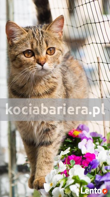 Siatka dla kota na balkon - kociabariera.pl