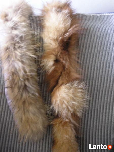 Jenot naturalny kolorowy bez szary obszycie kaptura tasma