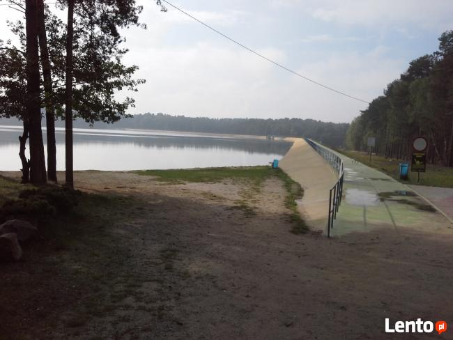 wynajme domki holenderskie