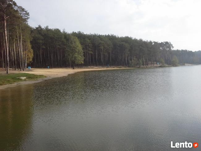 wynajme domki holenderskie