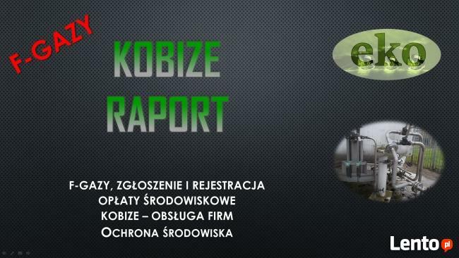 Fgazy, Lodówki, chłodnie, zamrażarki, rejestracja,zgłoszenie