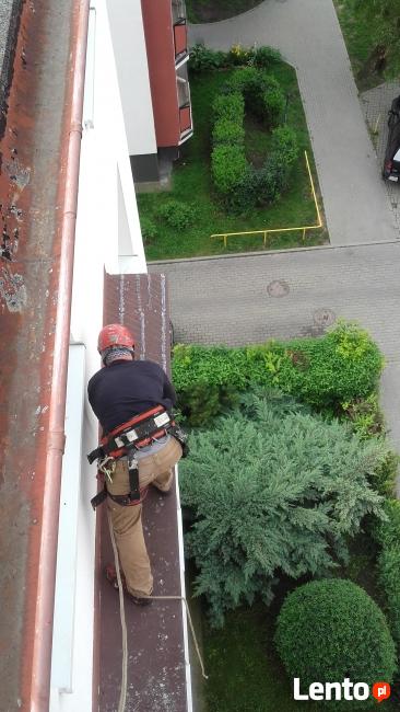 Kolce na ptaki, kolce przeciw gołębiom