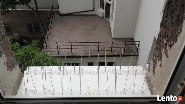 Kolce na ptaki, kolce przeciw gołębiom, antyptaki