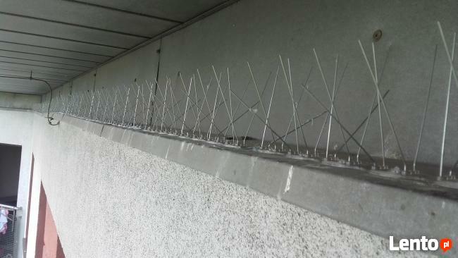 Kolce na ptaki, kolce przeciw gołębiom