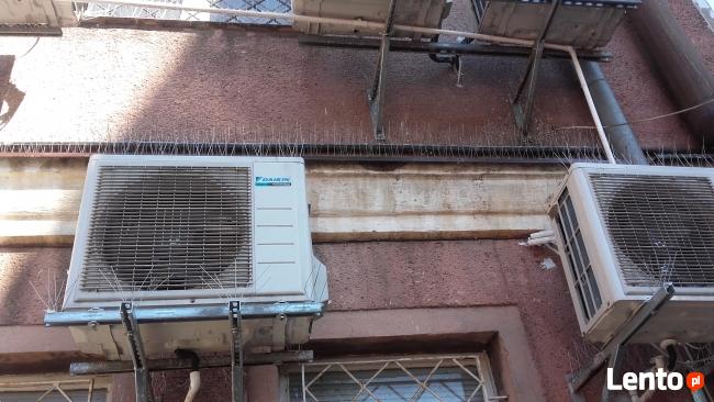 Kolce na ptaki, kolce przeciw gołębiom, antyptaki