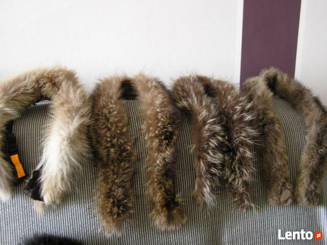 Jenot naturalny kolorowy bez szary obszycie kaptura tasma