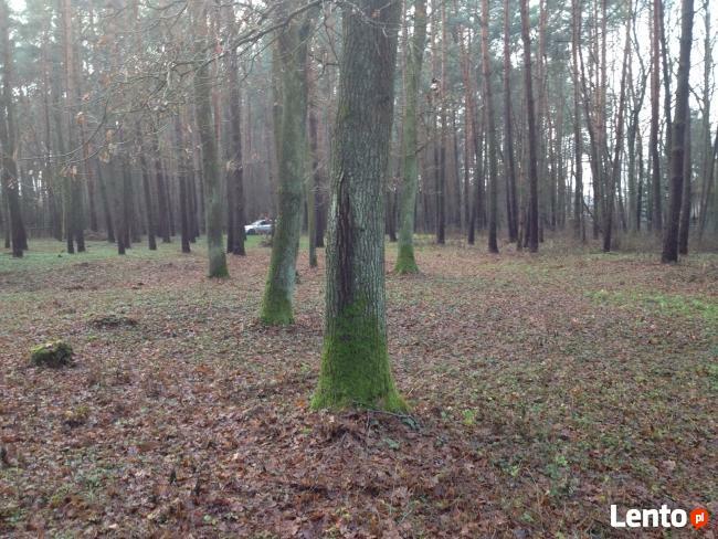 Działka rekreacyjno/budowlana- Brańszczyk nad Bugiem