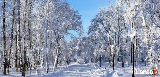Działka rekreacyjno/budowlana- Brańszczyk nad Bugiem