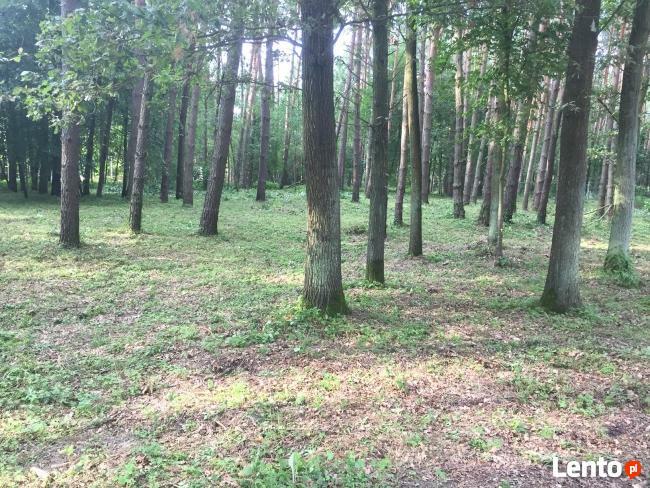 Działka rekreacyjno/budowlana- Brańszczyk nad Bugiem