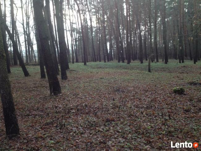 Działka rekreacyjno/budowlana- Brańszczyk nad Bugiem