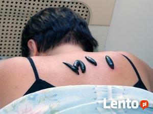 Leczenie Pijawkami Lekarskimi Bytom