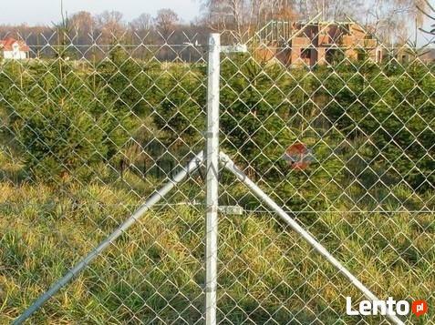 Siatka ogrodzenia 65x65x2,5mm h-150cm ocynk