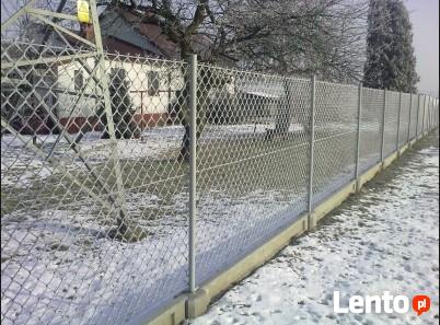 Siatka ogrodzenia 65x65x2,5mm h-150cm ocynk