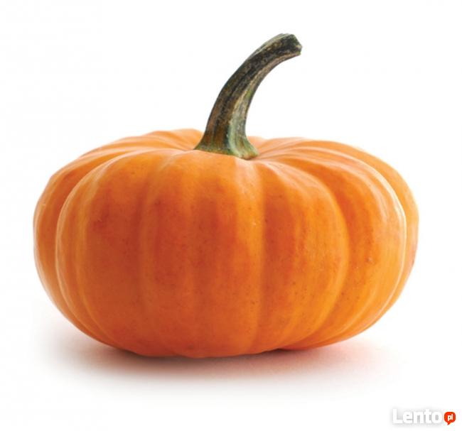 Dietetyk kliniczny Poznań Natalia Klapińska mgr