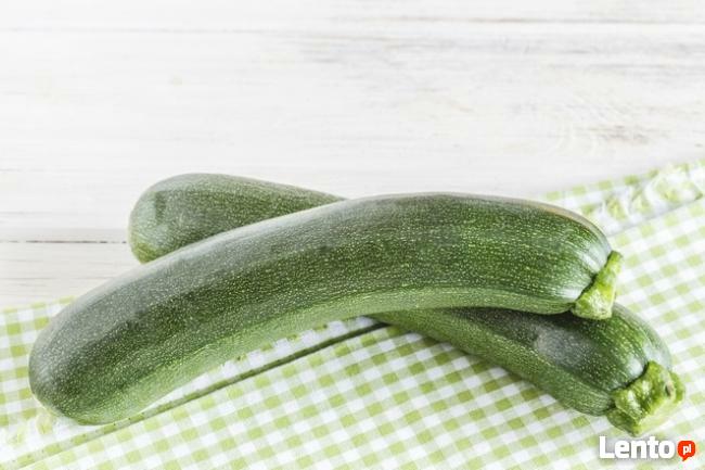 SIBO Dietetyk Kliniczny, Szamotuły Natalia Klapińska