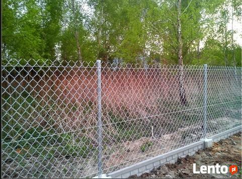 Siatka ogrodzenia 65x65x2,5mm h-150cm ocynk