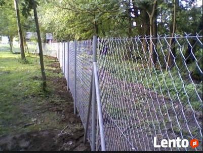 Siatka ogrodzenia 65x65x2,5mm h-150cm ocynk